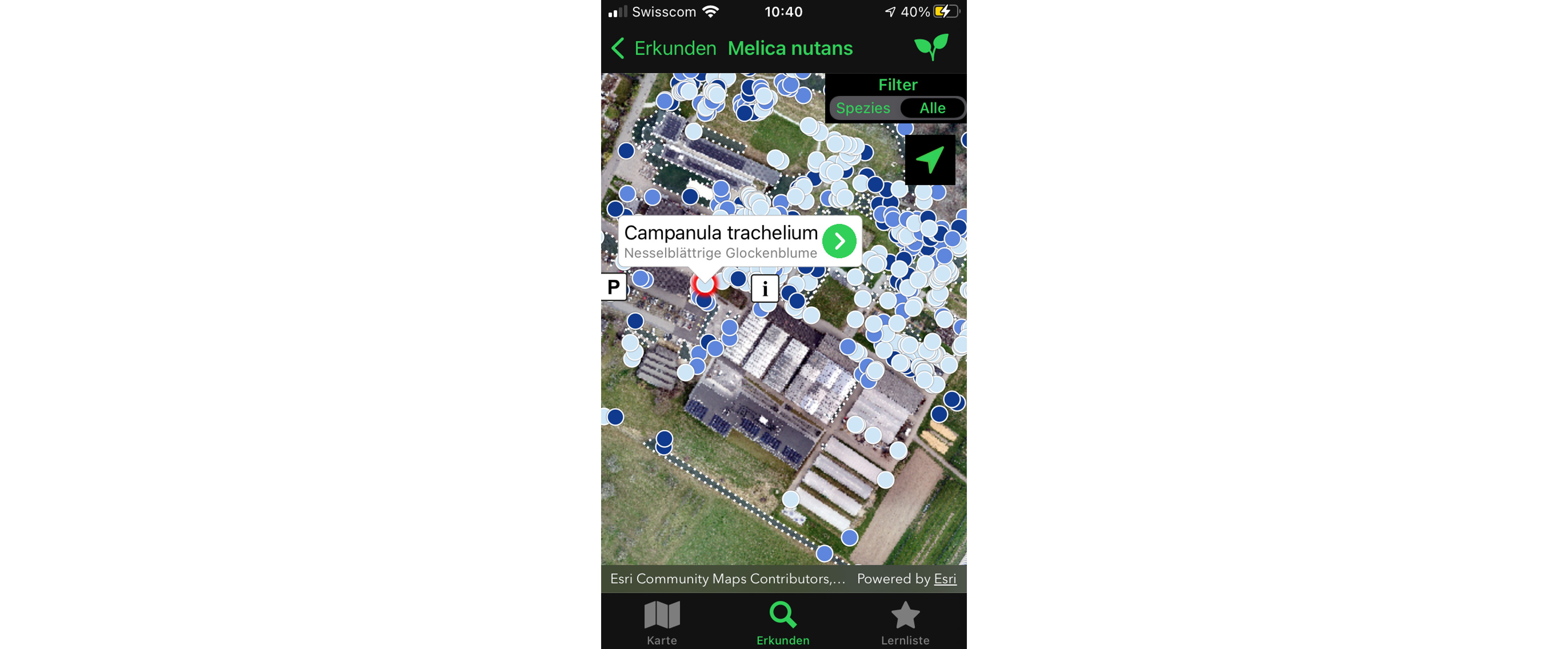 Screenshot from the app "Grüental Flora & Fauna"