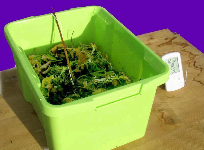 Classroom compost box