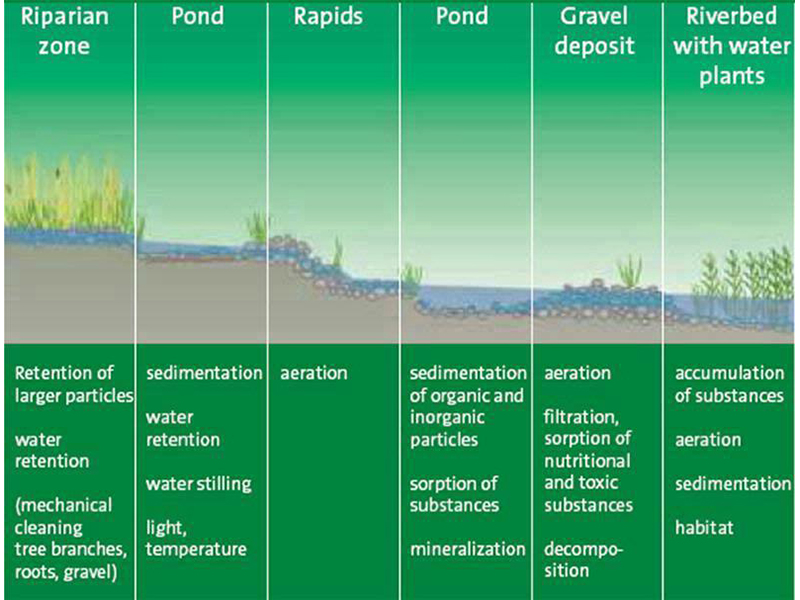 River bed profile