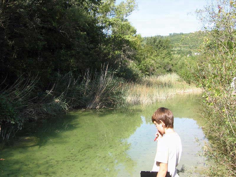 Vegetation as filter - didactics
