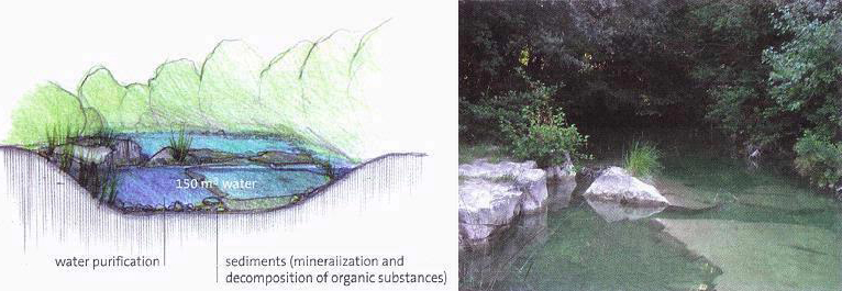 River flow patterns