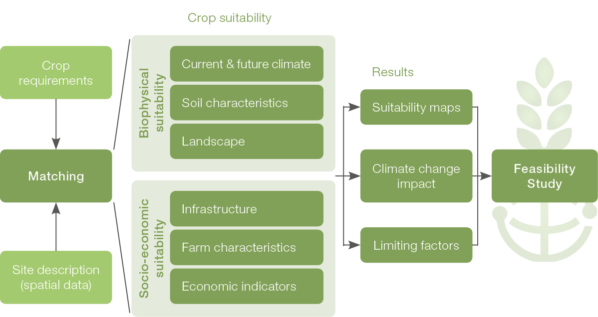 The different CONSUS Modules from Crop suitability to feasability studies