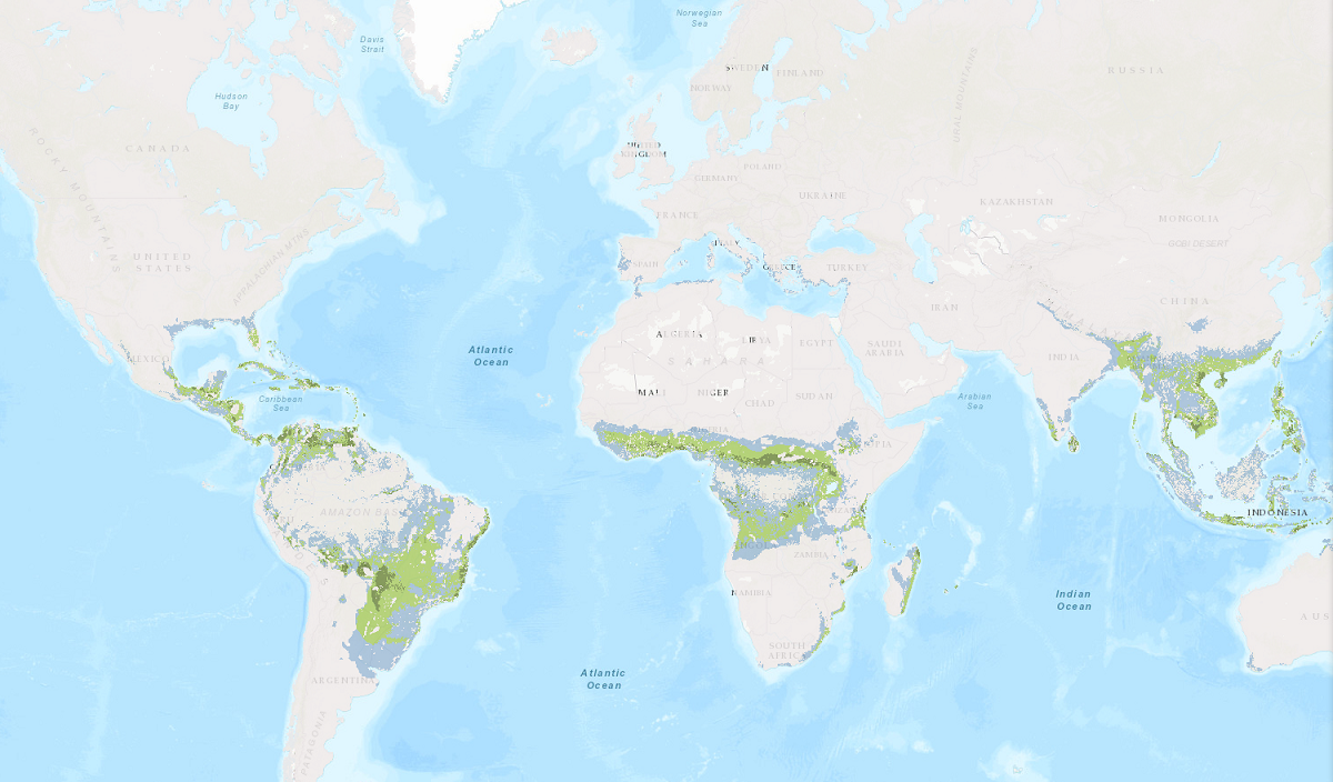 Screenshot of the CONSUS webtool