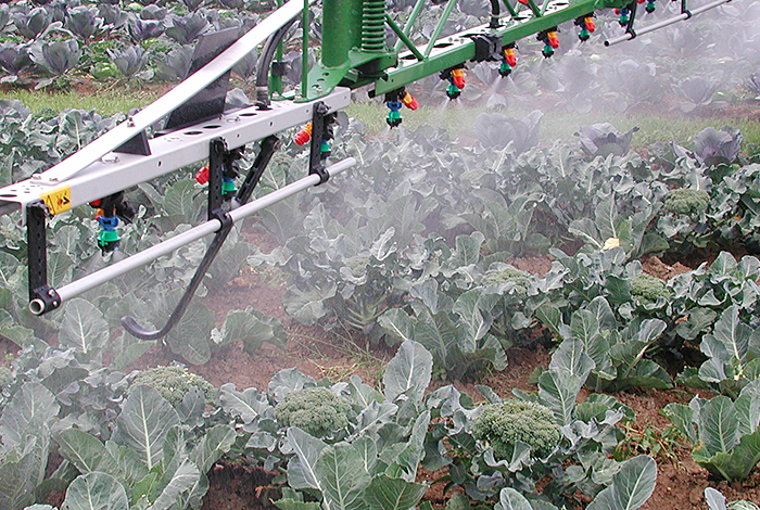 Gemüsekultur wird mit Pflanzenschutzmitteln behandelt.