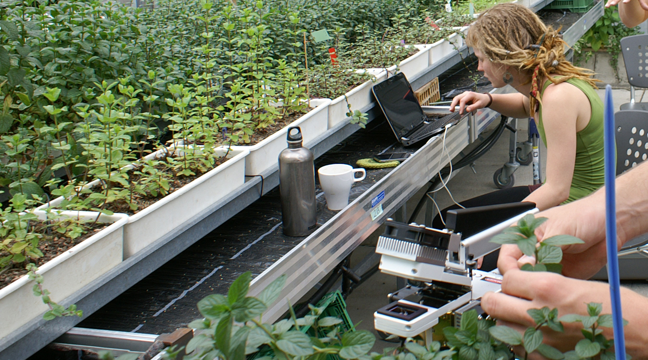 Studium und Weiterbildung in Biologischer Landwirtschaft und
