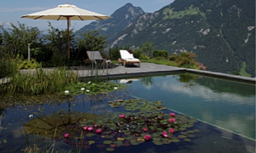 Swimming pond