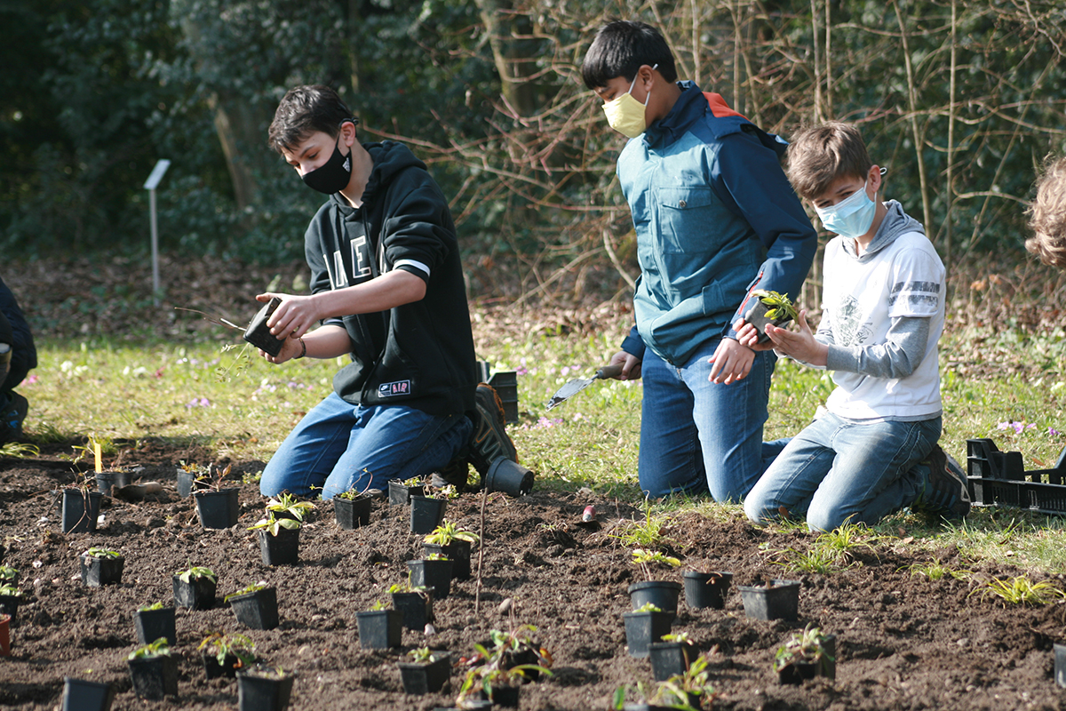 Schüler pflanzen die ersten Wildstauden in Baden am 10. März 2021, Bild: Doris Tausendpfund