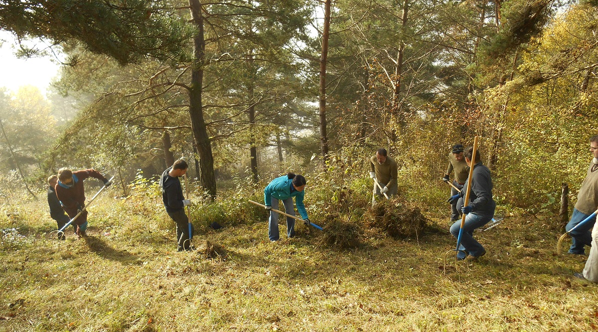Foto von Personen an einem Corporate Volunteering Einsatz in einem Naturpark. Foto: Aline Oertli