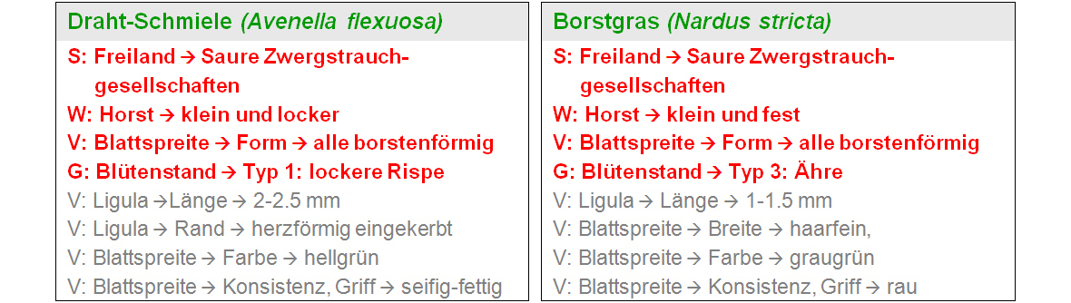 ZHAW App iGräser, Tabelle Alpin 1