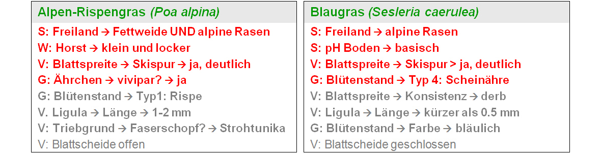 ZHAW App iGräser, Tabelle Alpin 2