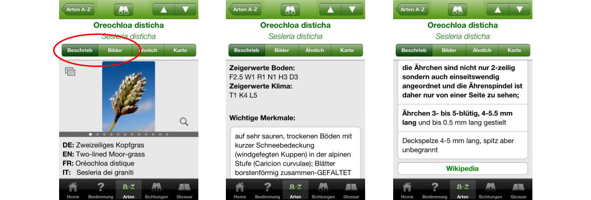 ZHAW App iGräser, Sreenshot Lexikon 3