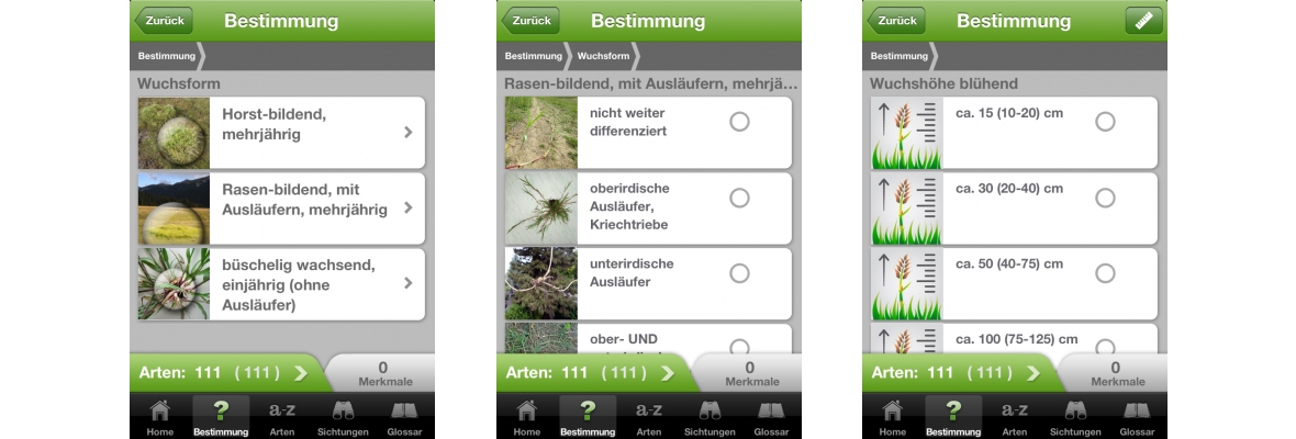 ZHAW App iGräser, Sreenshot Lexikon 8