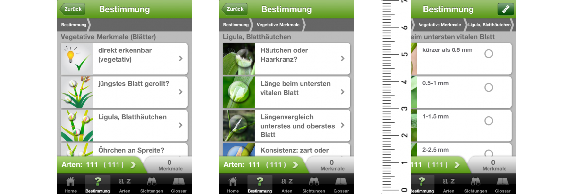 ZHAW App iGräser, Sreenshot Lexikon 9