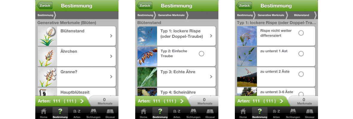 ZHAW App iGräser, Sreenshot Lexikon 10