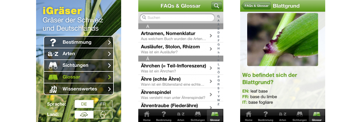 ZHAW App iGräser, Sreenshot Glossar
