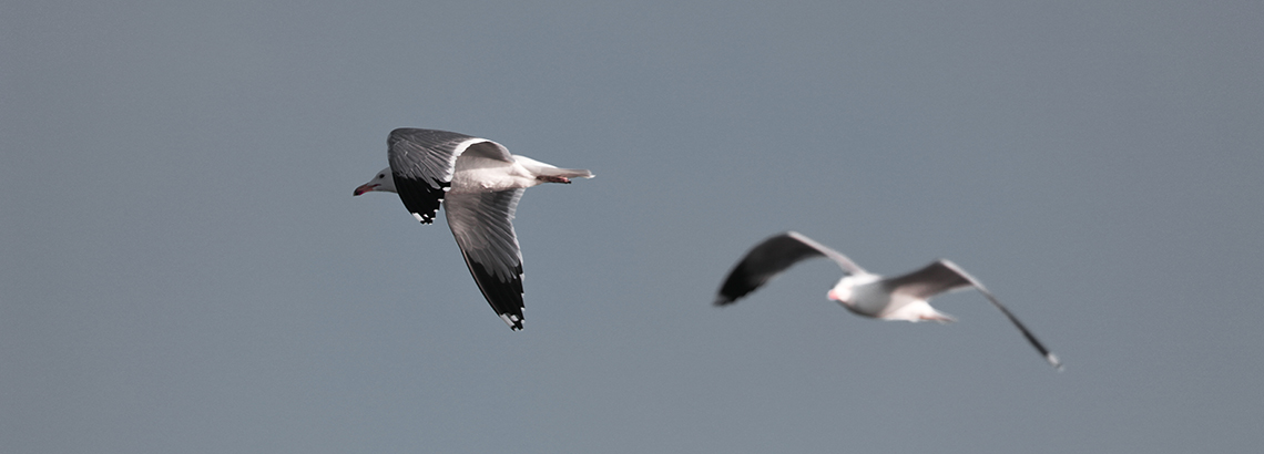 Foto: Patrick Hendry auf Unsplash