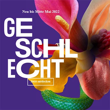 Geschlecht. Jetzt entdecken