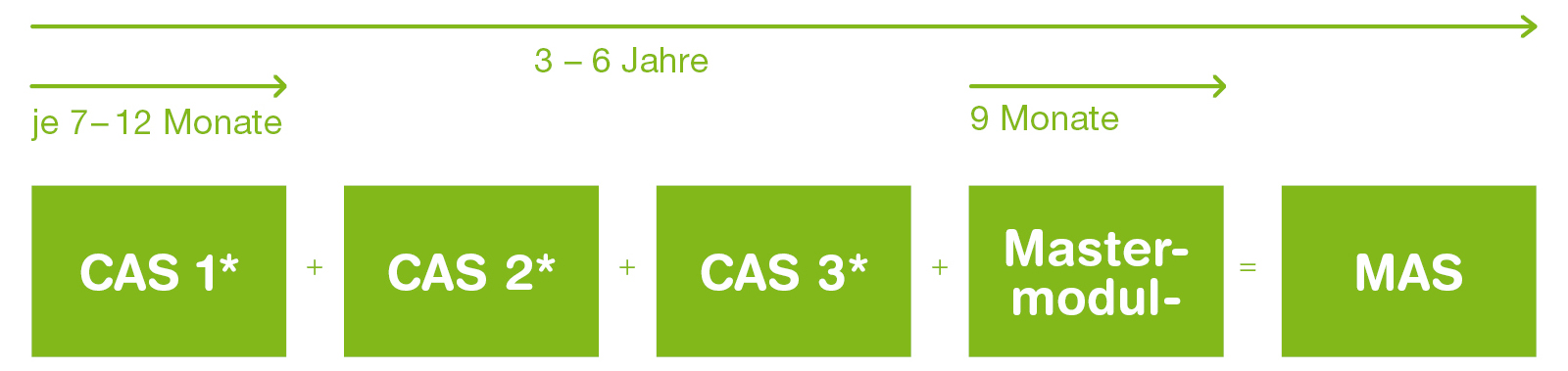 MAS-Modulsystem im zeitlichen Ablauf