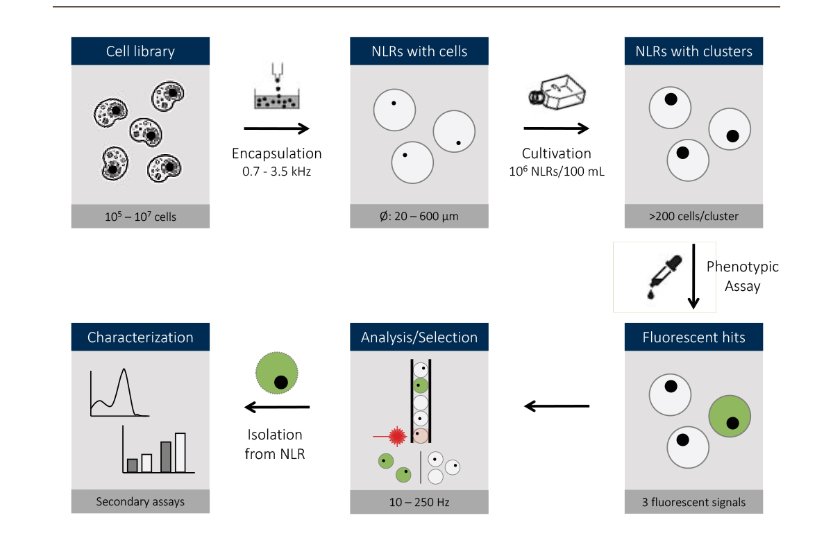 Fig. NLR technology scheme. (Source: FGen)
