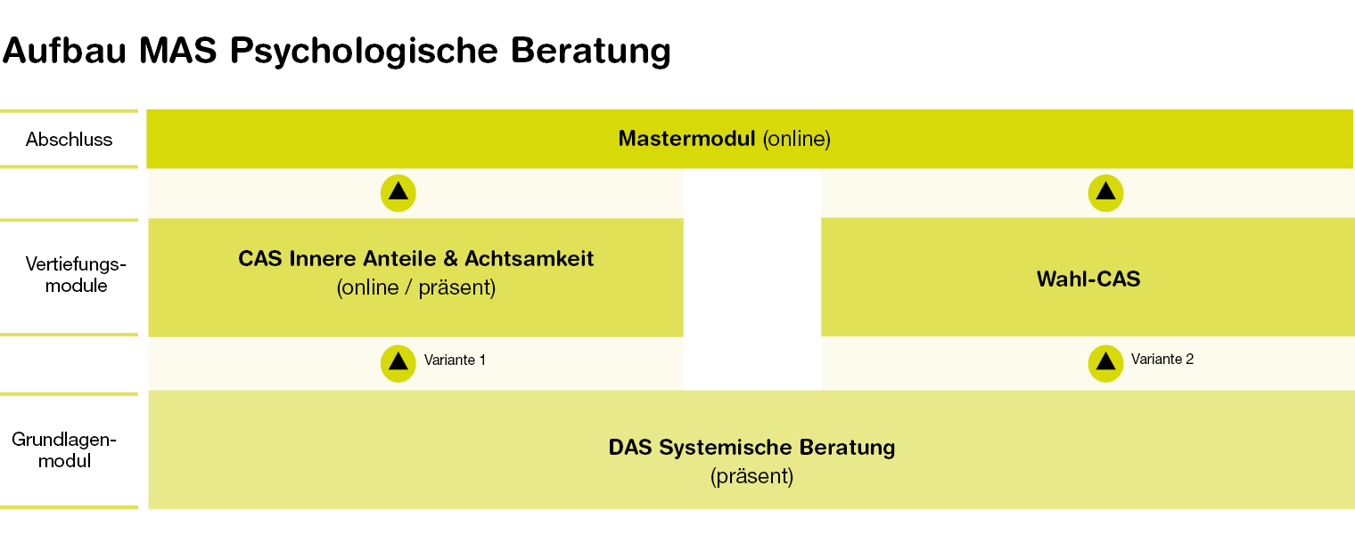 Aufbau des MAS Psychologische Beratung