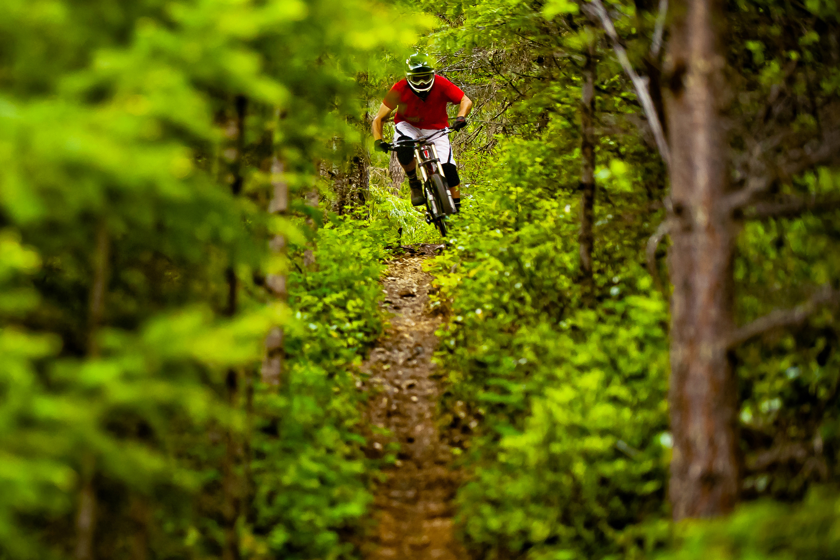 Symbolbild, Weiterkommen, Biker im Wald