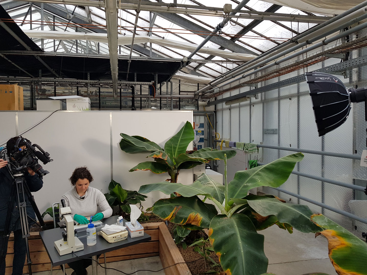 Filming for the MOOC Aquaponics in the aquaponics facilities of the ZHAW