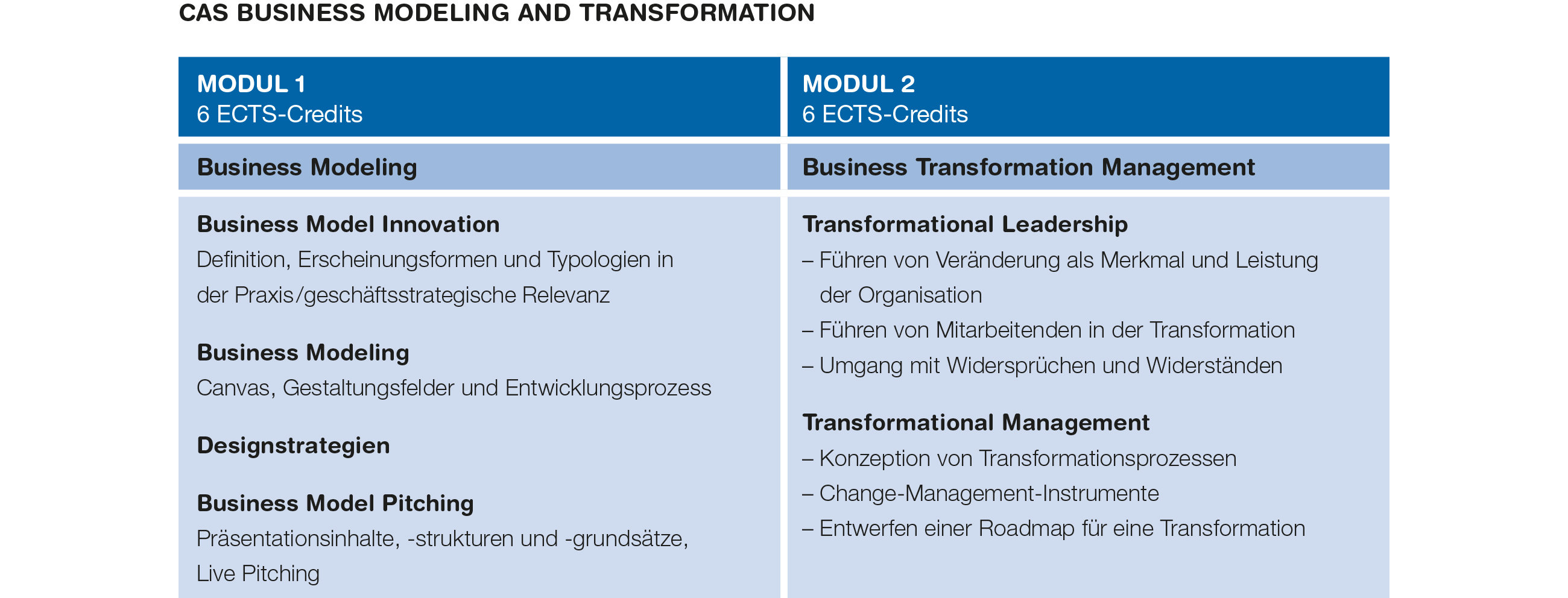 Modulübersicht CAS Business Modeling and Transformation