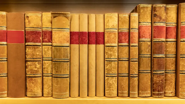 Antike Bücher mit Ledereinband auf einem hölzernen Bücherregal