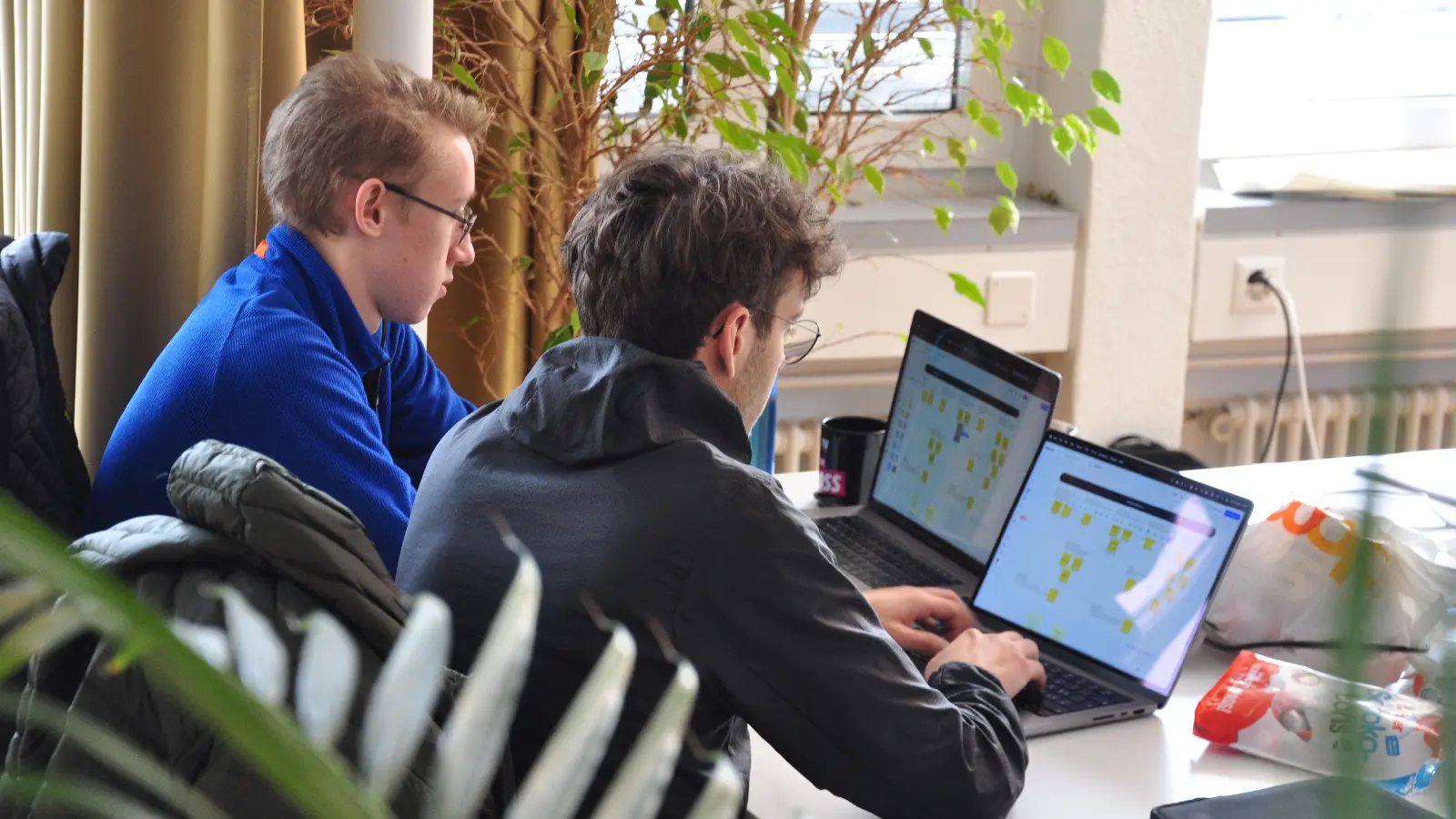 Zwei Studierende sitzen an ihren Laptops in einem Büro mit Grünpflanzen