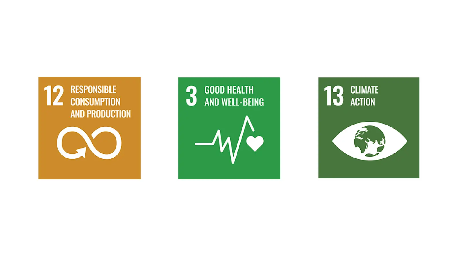 The project contributes to three sustainability goals: Sustainable consumption and production, good health and well-being, climate action.