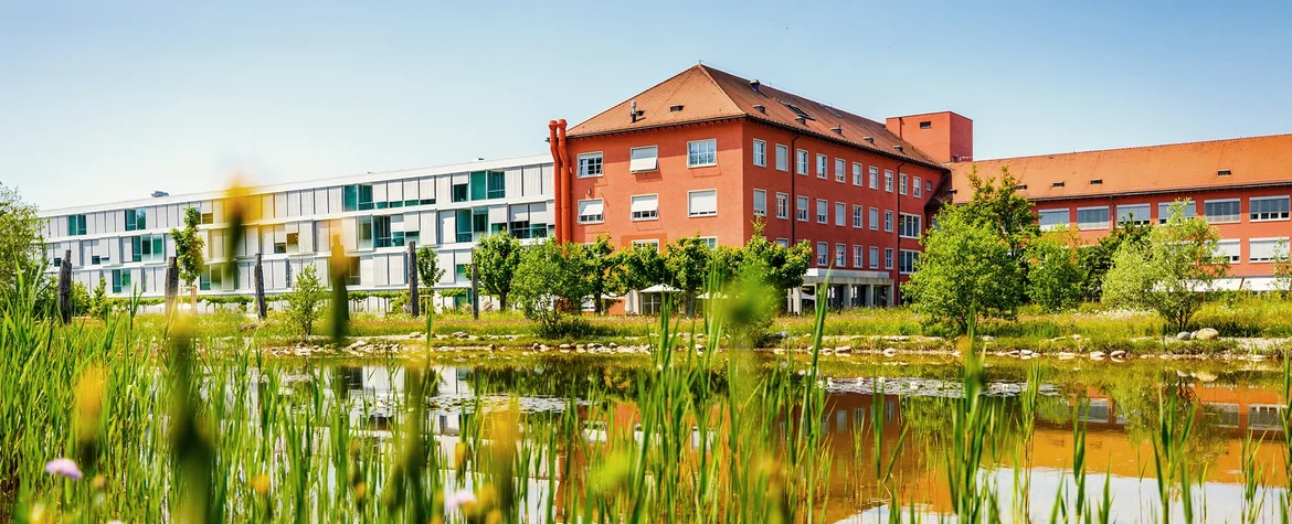 Neumünster residence with adjoining park, flowers, and blue sky