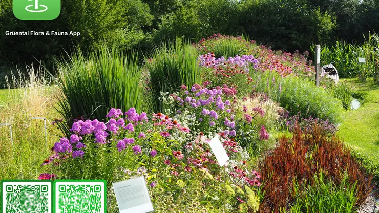 Grüental Flora & Fauna App