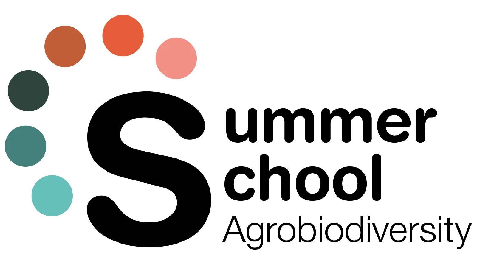 Logo of the Summer School.
