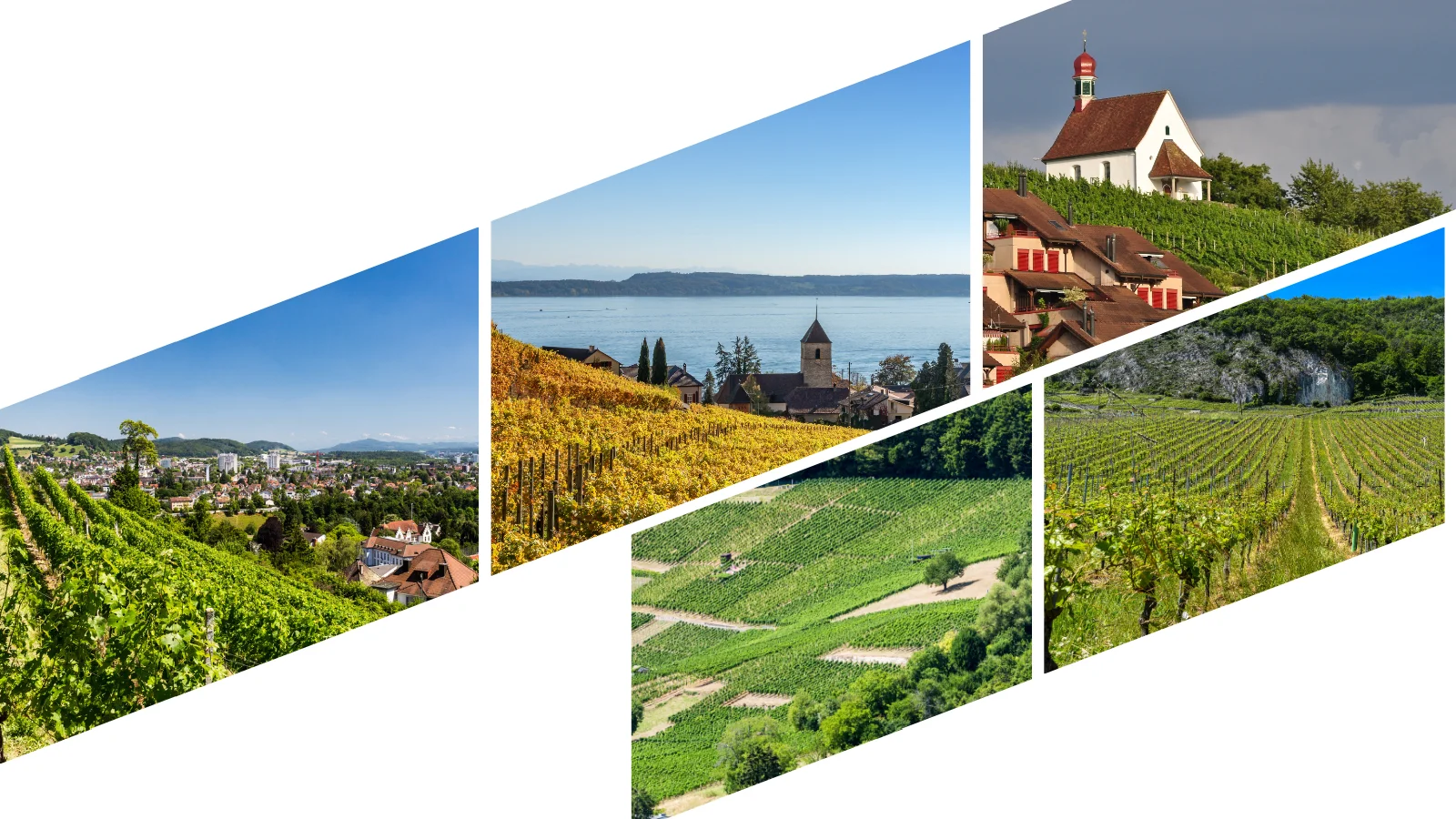 Auf kleinen Fotos sieht man verschiedene Weinbaugebiete: auf einem Hügel, bei einem See, im Flachland oder oberhalb von Siedlungsgebieten.