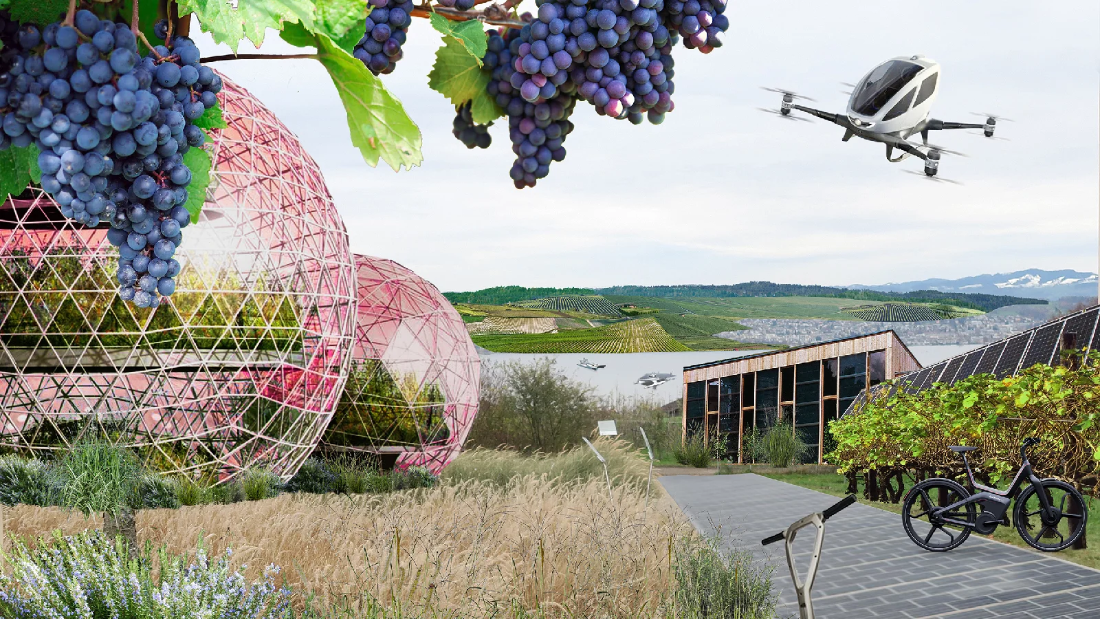 Auf einer Fotomontage sieht man den Campus Grüental, kugelförmige Gewächshäuser, den Zürichsee mit Rebbergen auf der anderen Seeseite sowie einer Drohne. Im Vordergrund sind rote Trauben zu sehen.