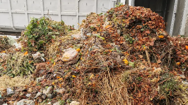 Pile of green waste mixed with plastic