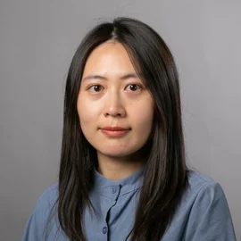 Lei Fu