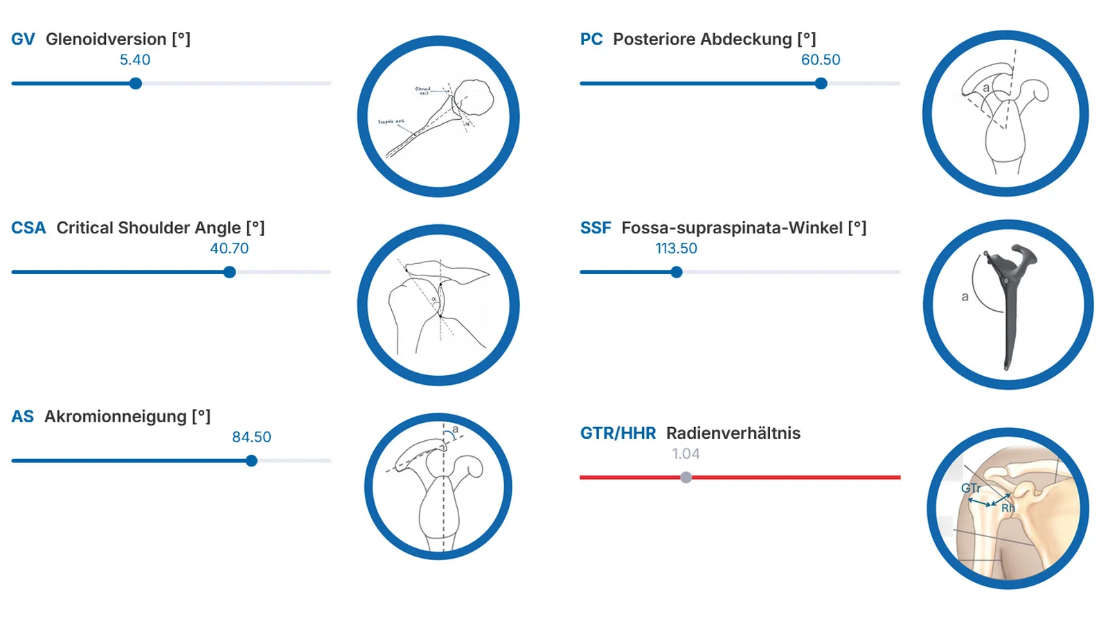 Input mask for clinical and morphological parameters