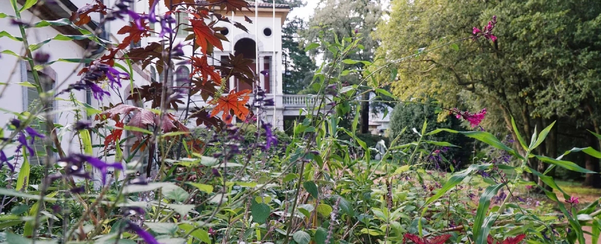 Blick durch den Garten auf die Villa del Cedri.