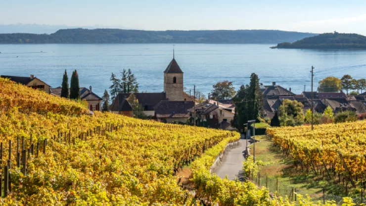 Rebberge oberhalb von Twann am Bielersee, den man im Hintergrund sieht.
