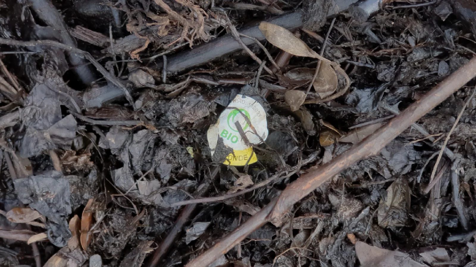 Hier ist ein Fruchtaufkleber nach der Kompostierung noch sichtbar im Kompost.