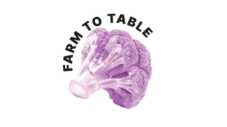 Logo von Farm to Table: ein violett eingefärbter Brokkoli.
