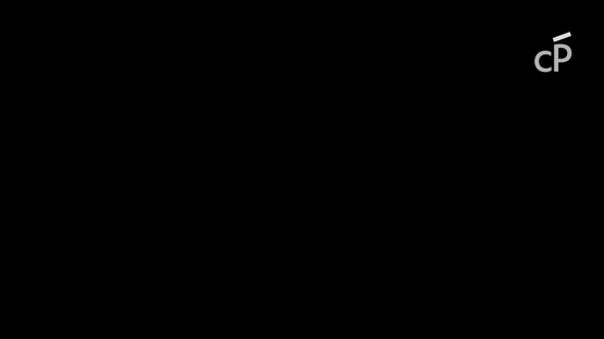 channelItem.title